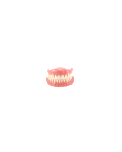 Digital Complete Dentures